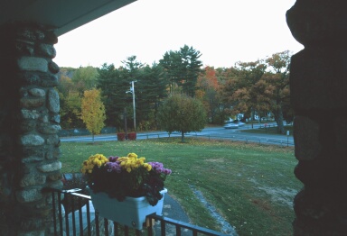 Autumn Flower Box