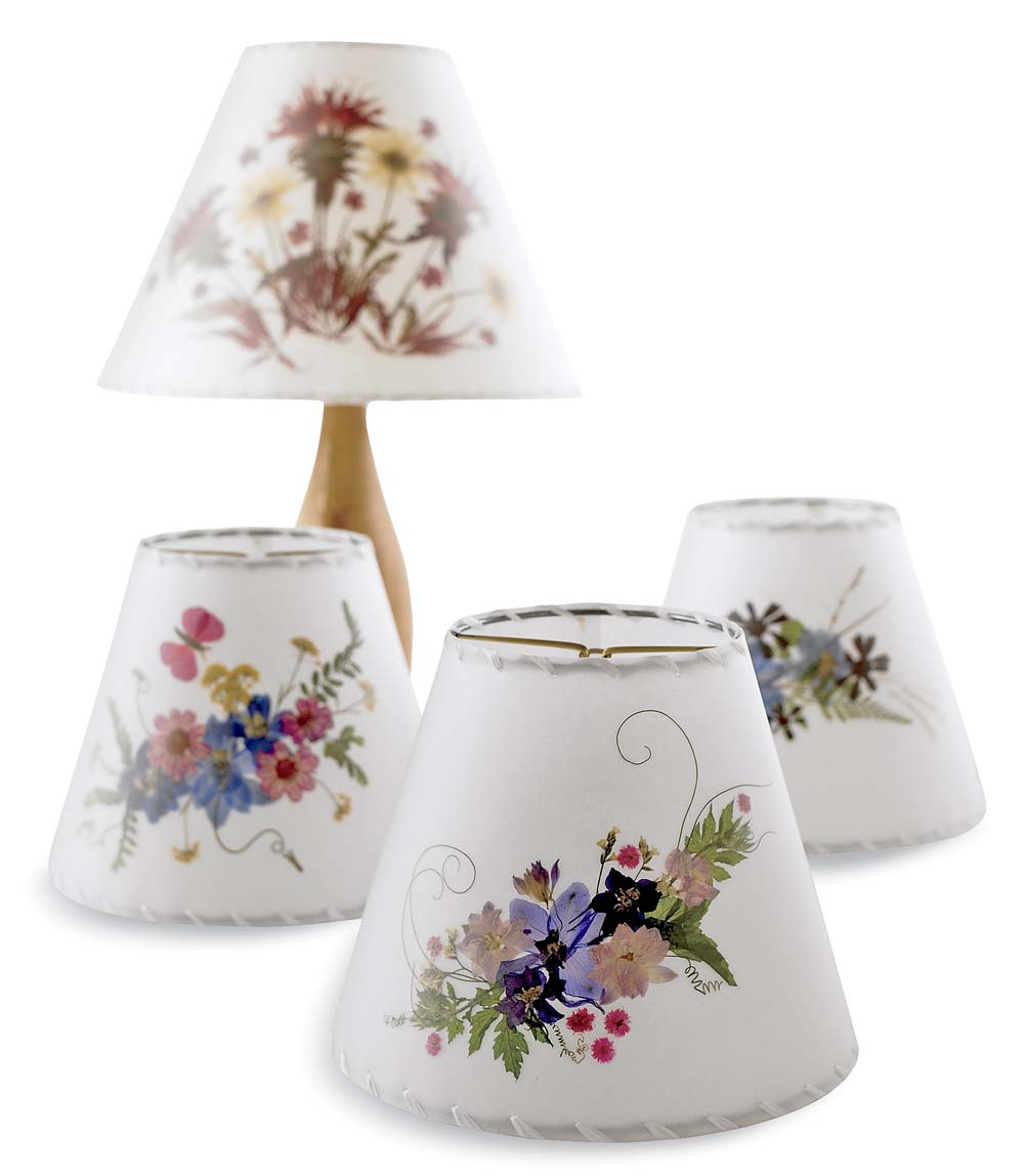 Fleurs de Light