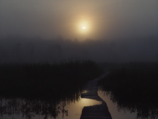 Boardwalk Sunrise w/reflection