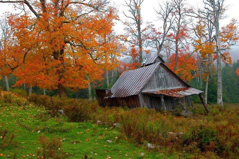Sugar Shack