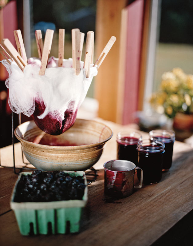 Blackberry Jelly | Jelly Recipe from the Best Cook