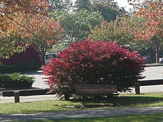 Fall at Harkness