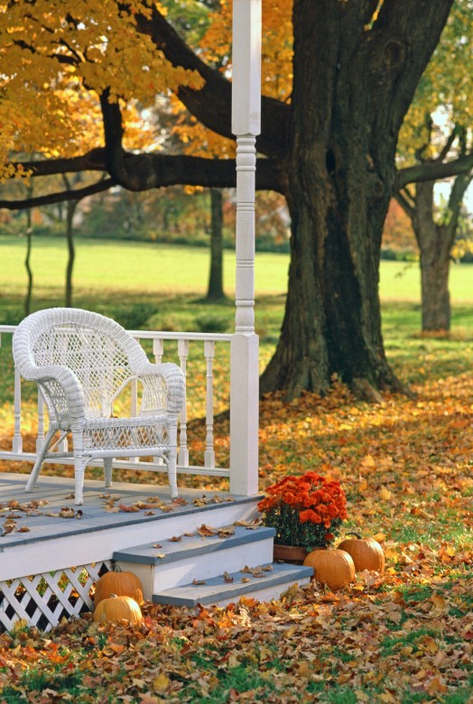Best Fall Porch Plants