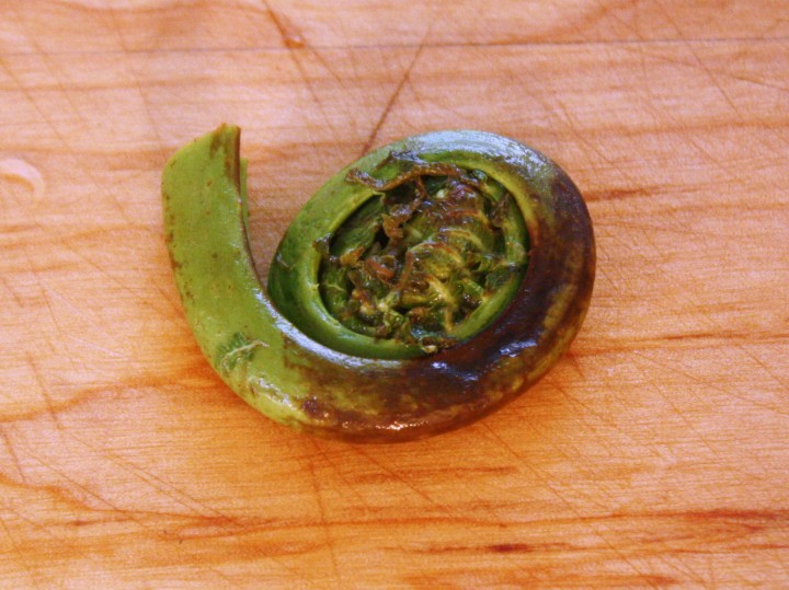 A less-than-fresh specimen