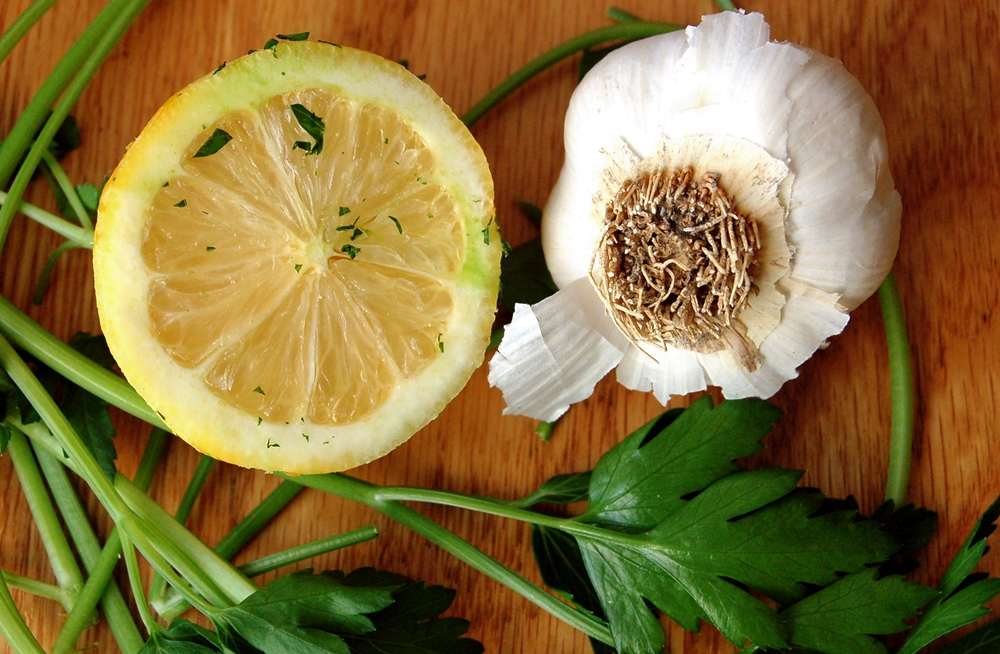 How to Get Rid of Fleas on Dogs & Cats | Natural Remedies