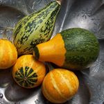 How to Preserve Gourds and Display Them, Too!