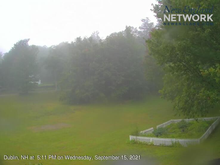 The LIVE Tree Cam