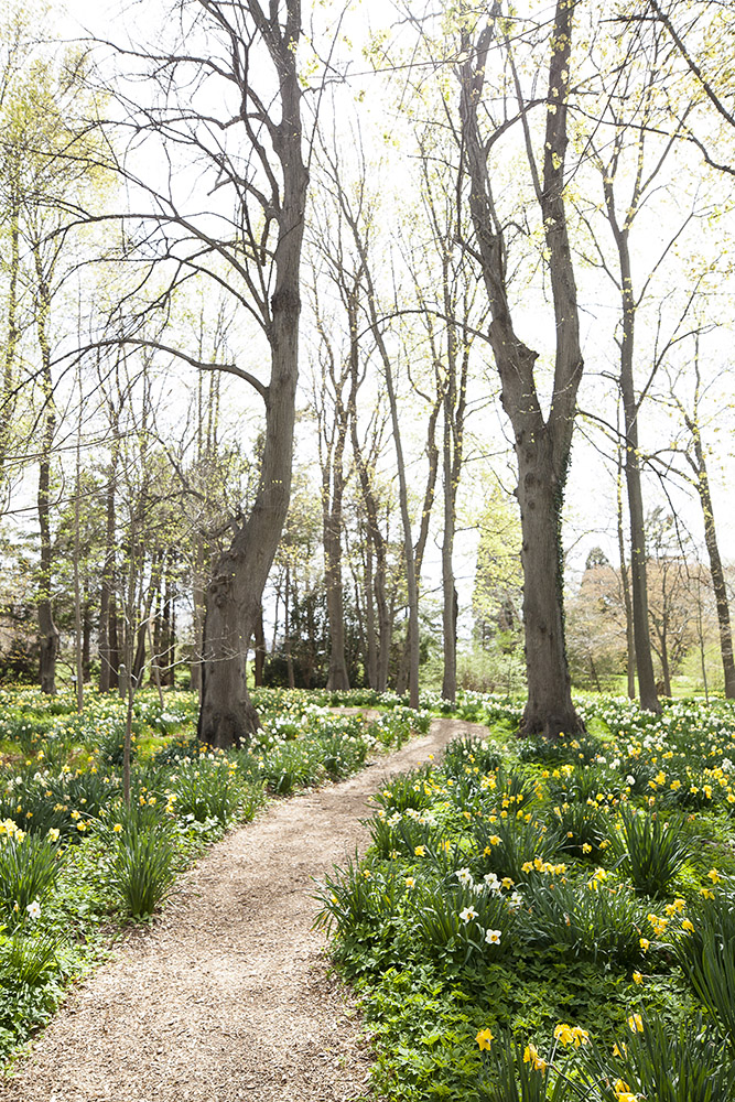 Narragansett Bay in Spring | Photos
