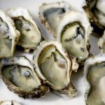 Oyster Guide | New England Oysters