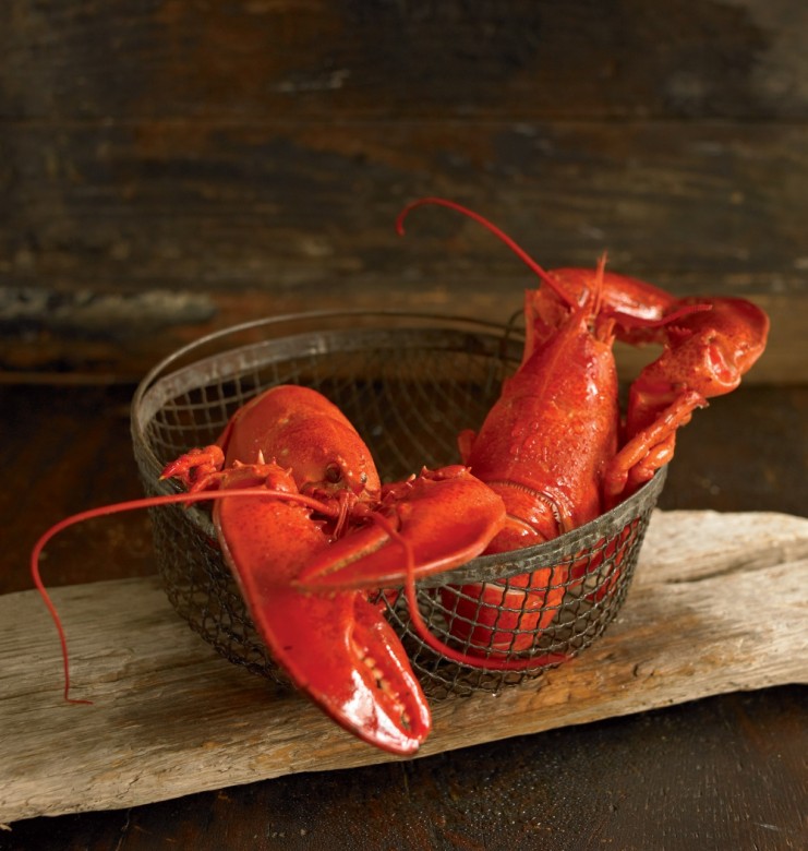 How to Cook Lobster | Tips from Bertha Nunan