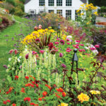 A lush, colorful flower garden with various blooming plants leads up to a white house with large windows and a gabled roof in the background.