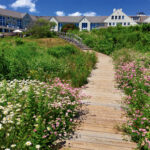 10 Best Things to Do in Maine This Summer. A wooden boardwalk lined with wildflowers leads up a grassy slope to a large blue and white building under a sunny sky.