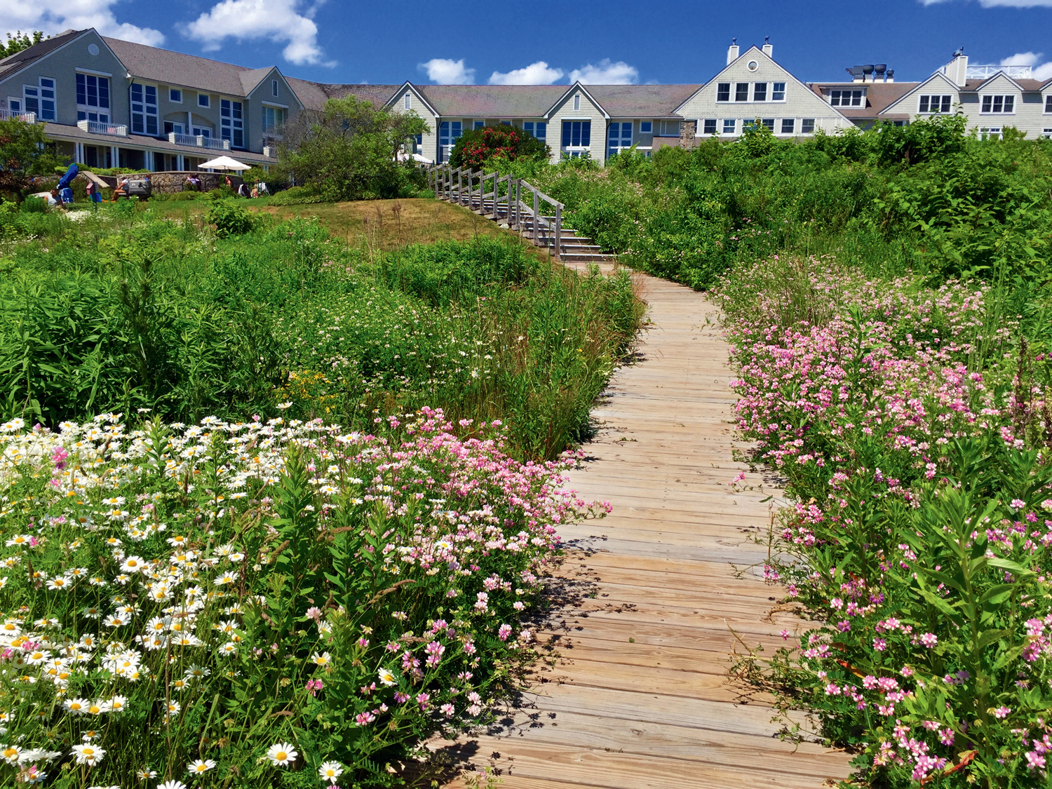 10 Best Things to Do in Maine This Summer 2025