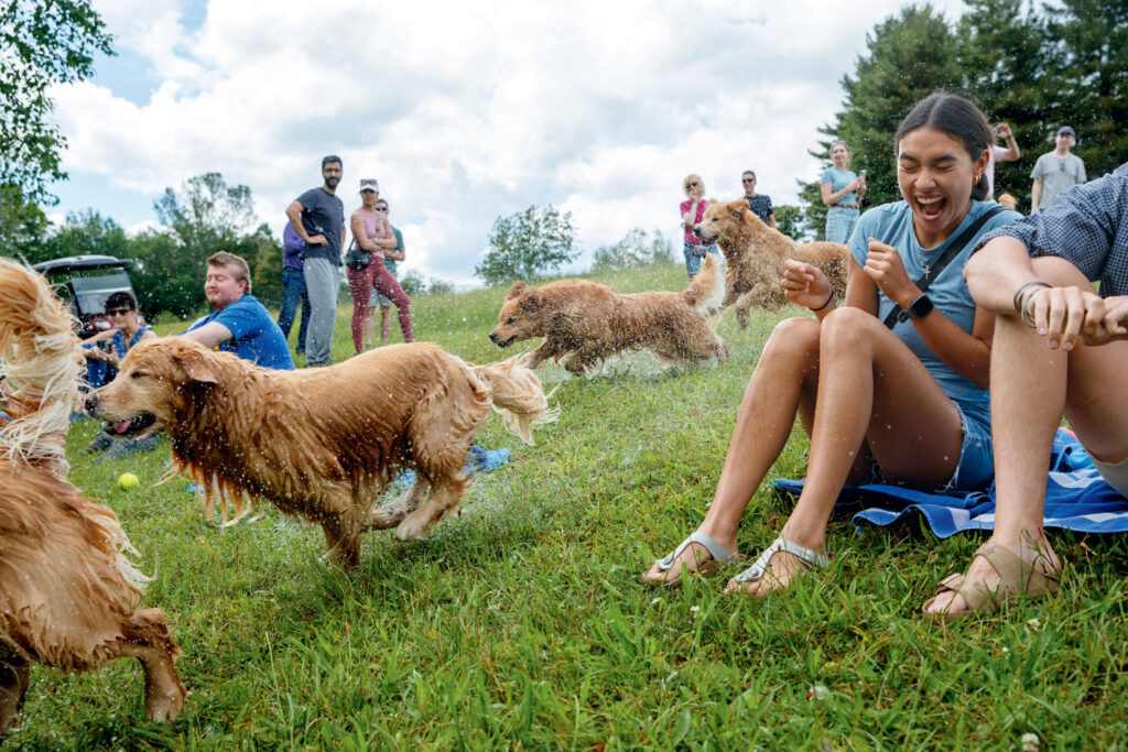Several dogs run through wet grass while people nearby, including a woman laughing and flinching, react to the splashing water on a sunny day outdoors.