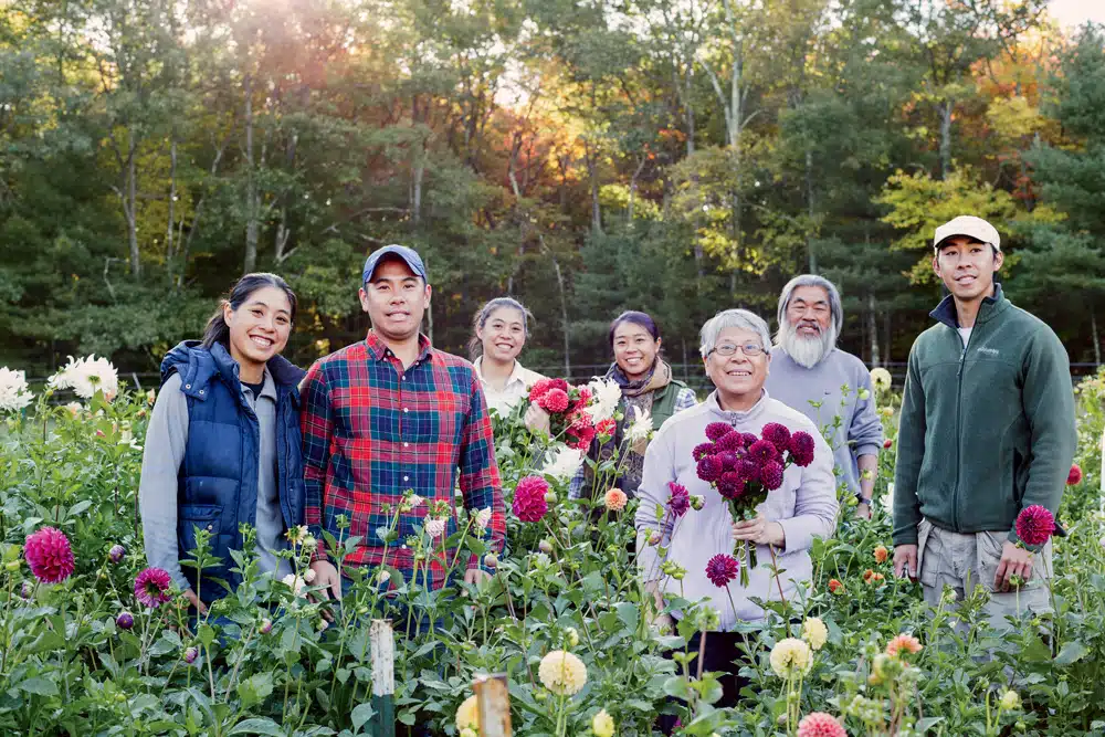Fivefork Farms in Upton, MA | Growing Dahlias on a Family Farm