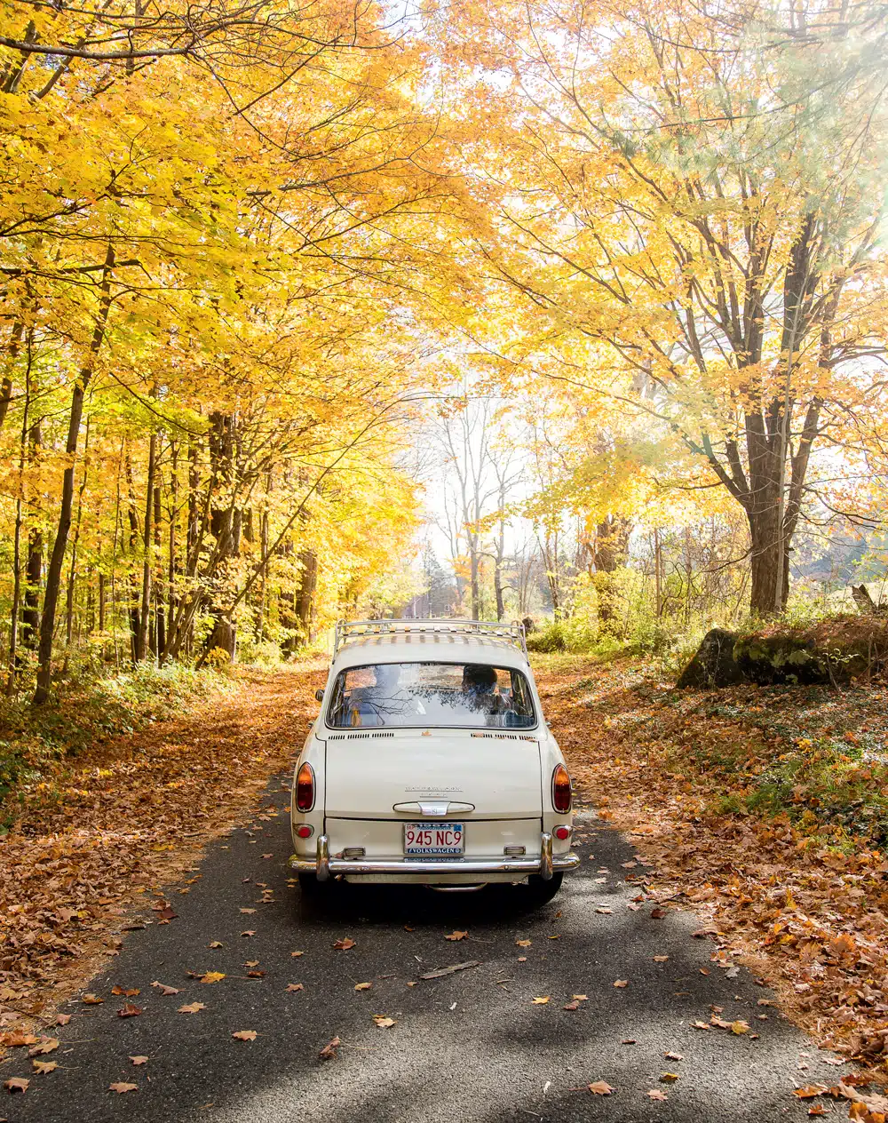 14 New England Foliage Drives