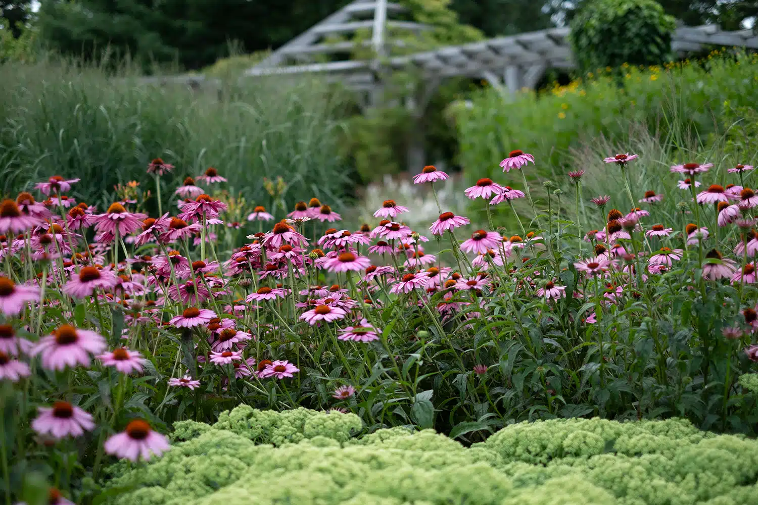 Coastal Maine Botanical Gardens