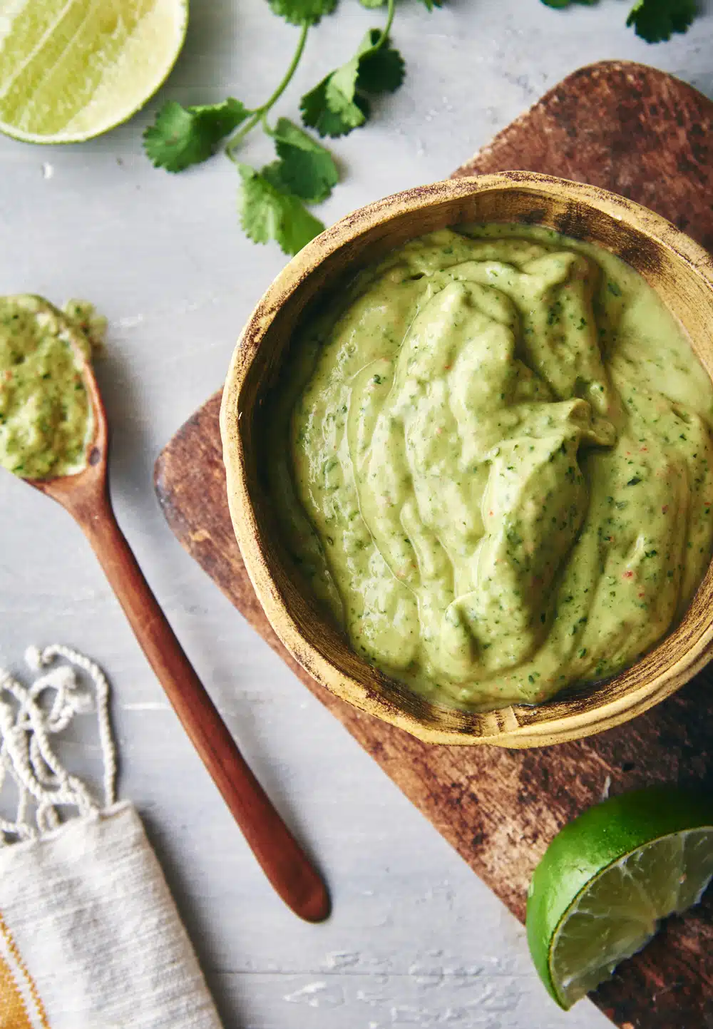 Avocado-Cilantro Salsa (Salsa de Aguacate)