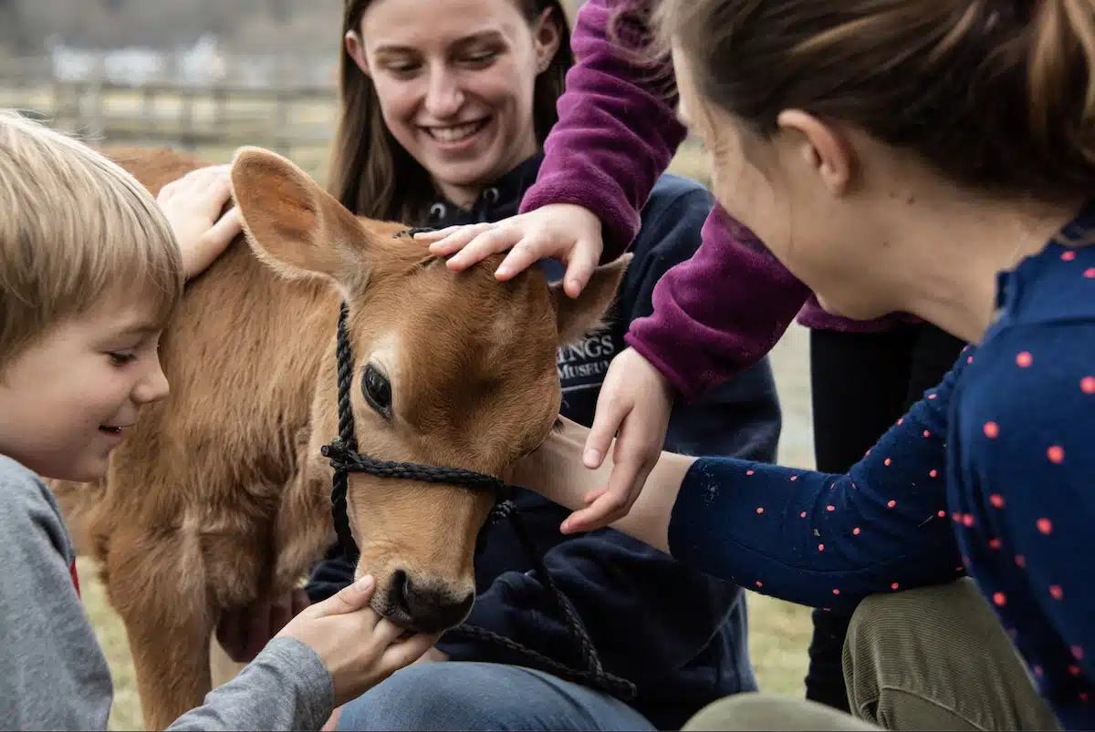 5 Best Things to Do in Woodstock, Vermont