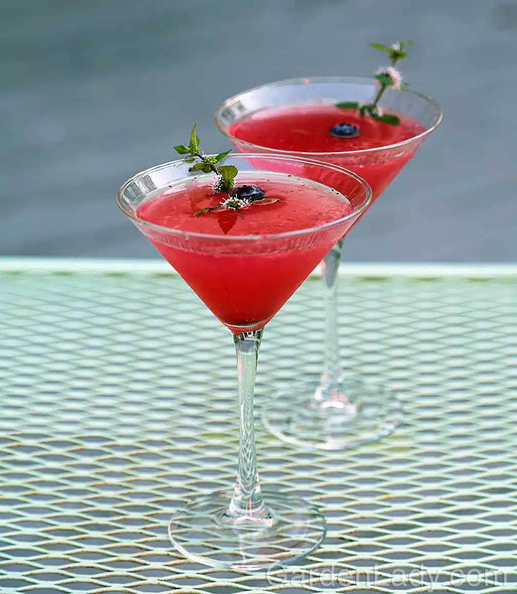 The Cocktail Hour Garden | Fresh Blueberry Cocktail Recipe