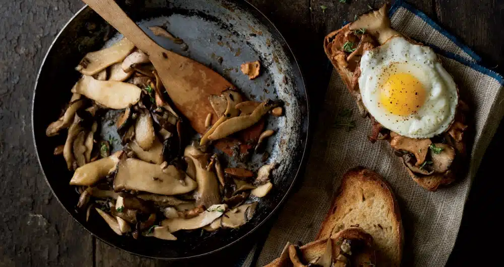 Sautéed Mushroom Breakfast Toasts