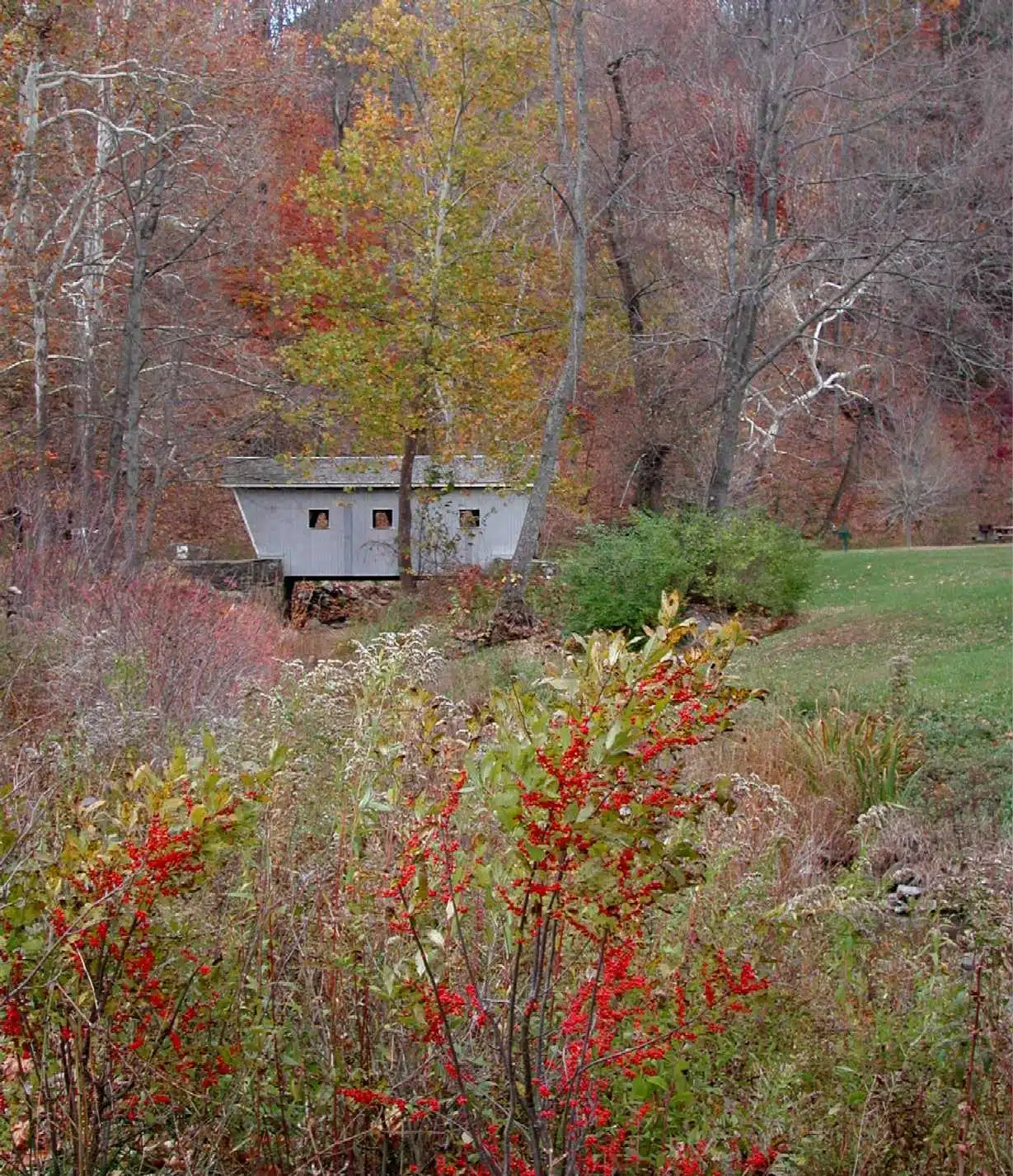 Covered Bridge