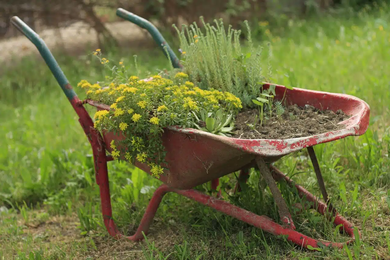 The Difference Between Soil and Dirt