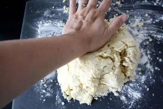 How to Make Easy Pie Crust from Scratch | Steps in Photos