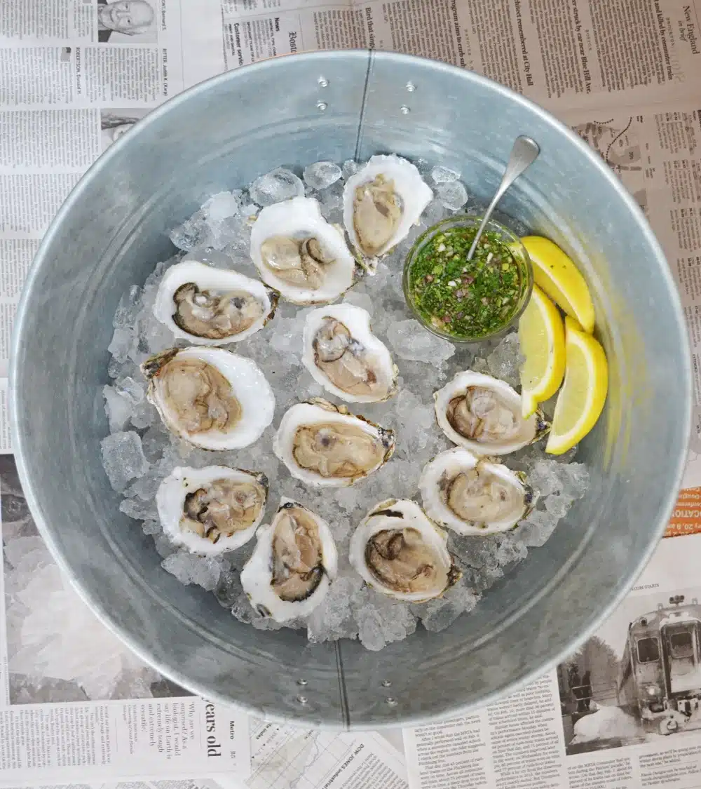 How to Shuck Oysters | Oyster Shucking & Eating Advice
