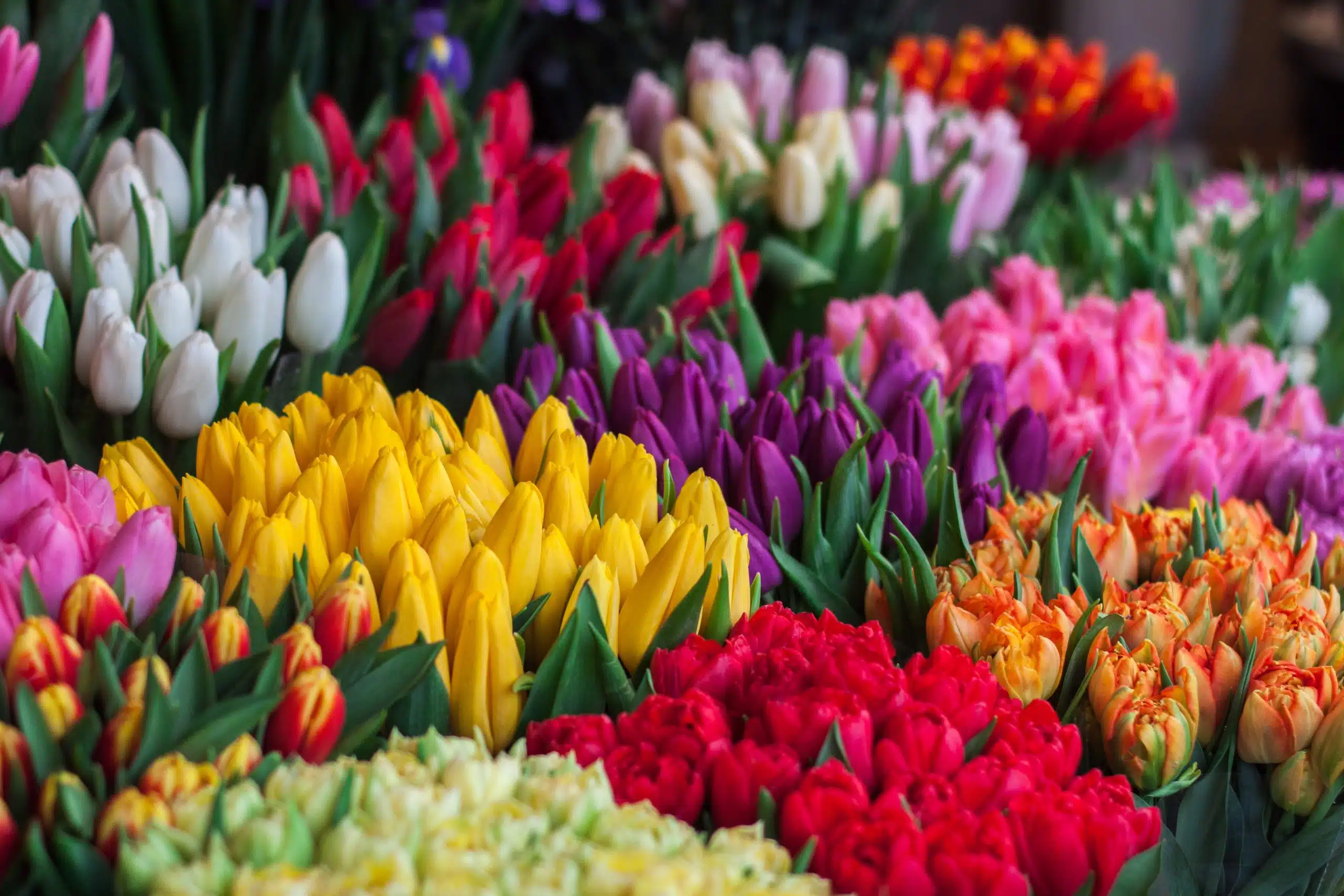 16 Best Things to Do in New England in April