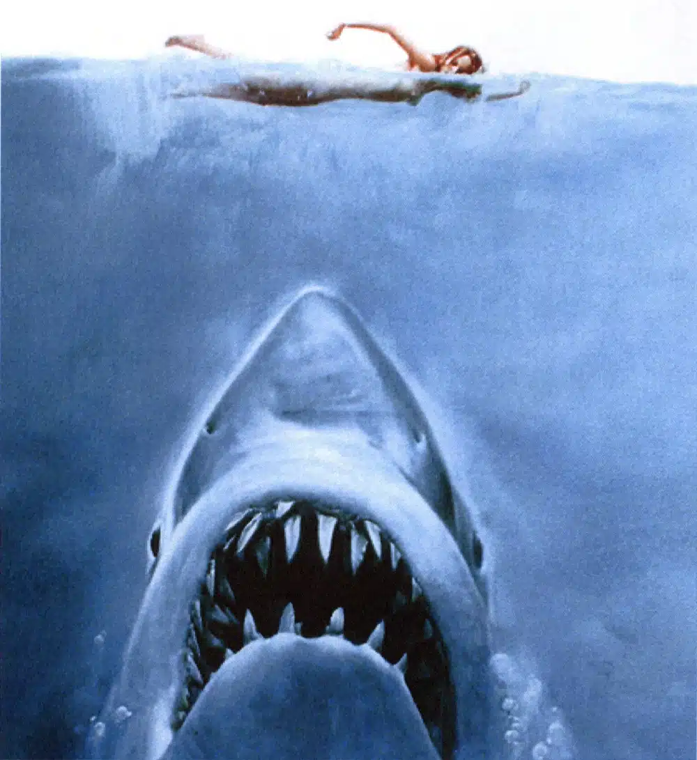 New England Shark Lore | History & Pop Culture