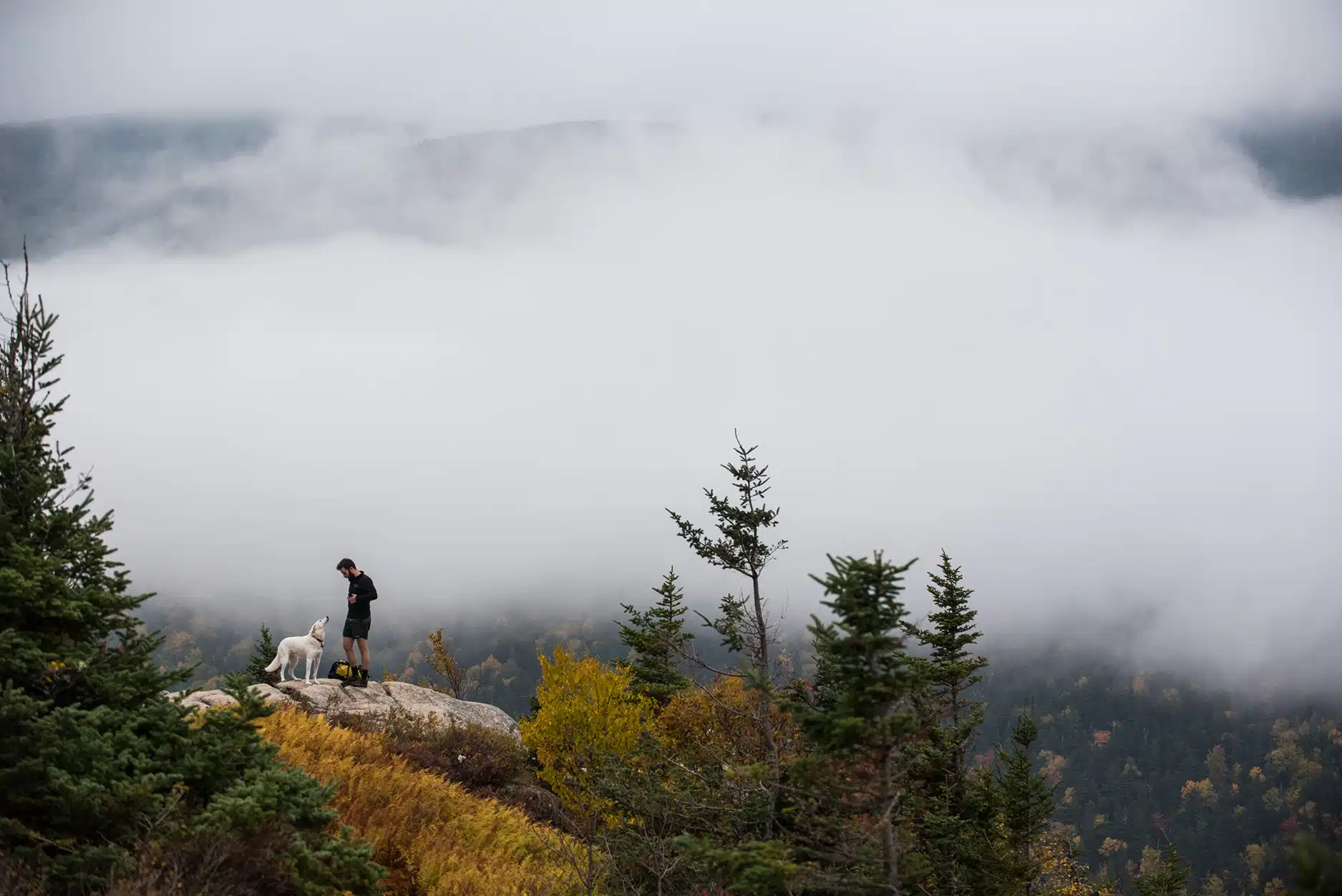 10 Best White Mountain Day Hikes