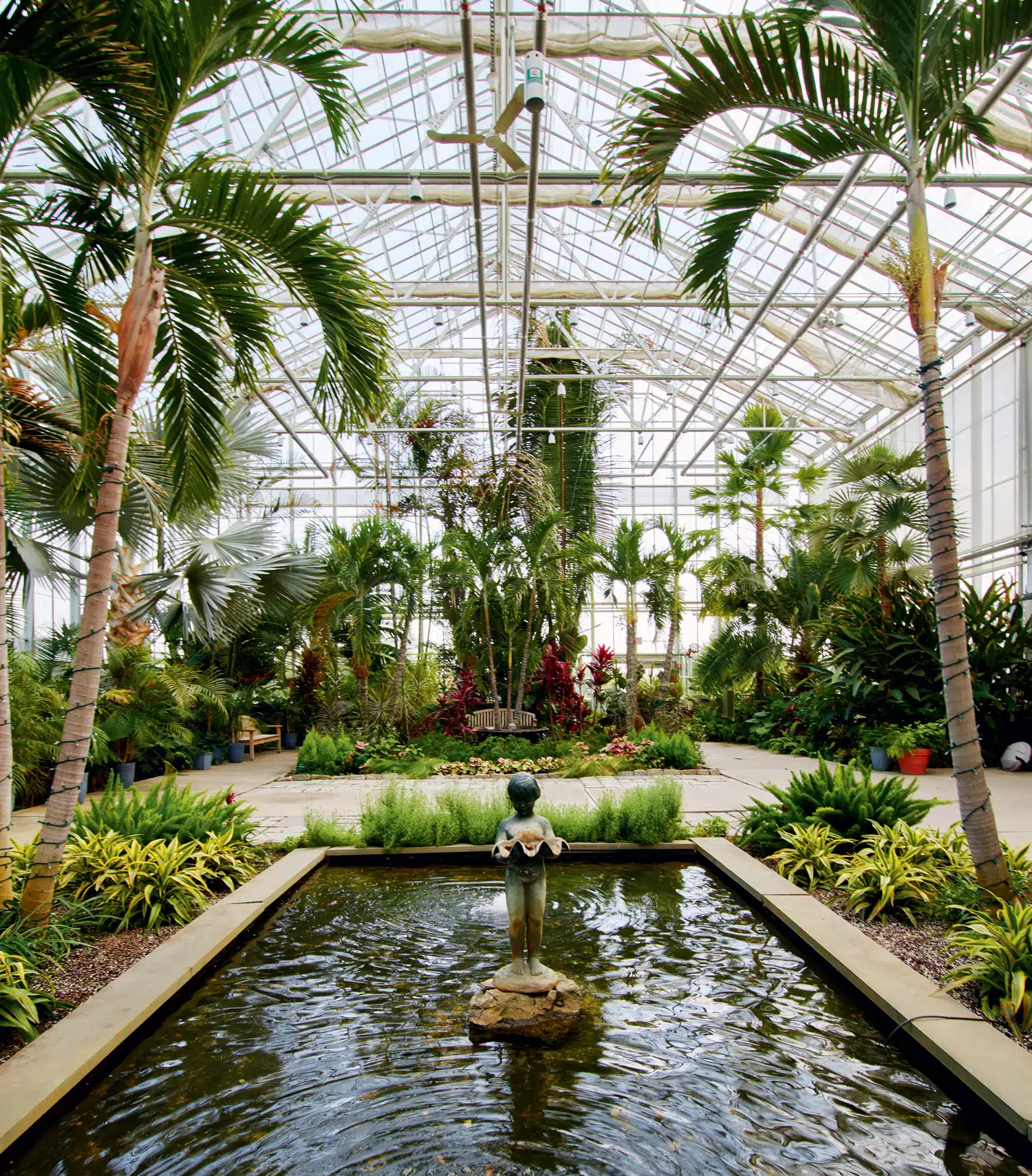 5 Indoor Tropical Escapes to Improve Your New England Winter