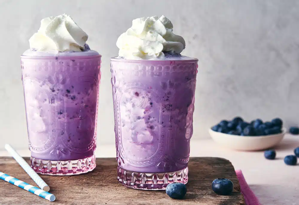 Maine Blueberry “Fribble”