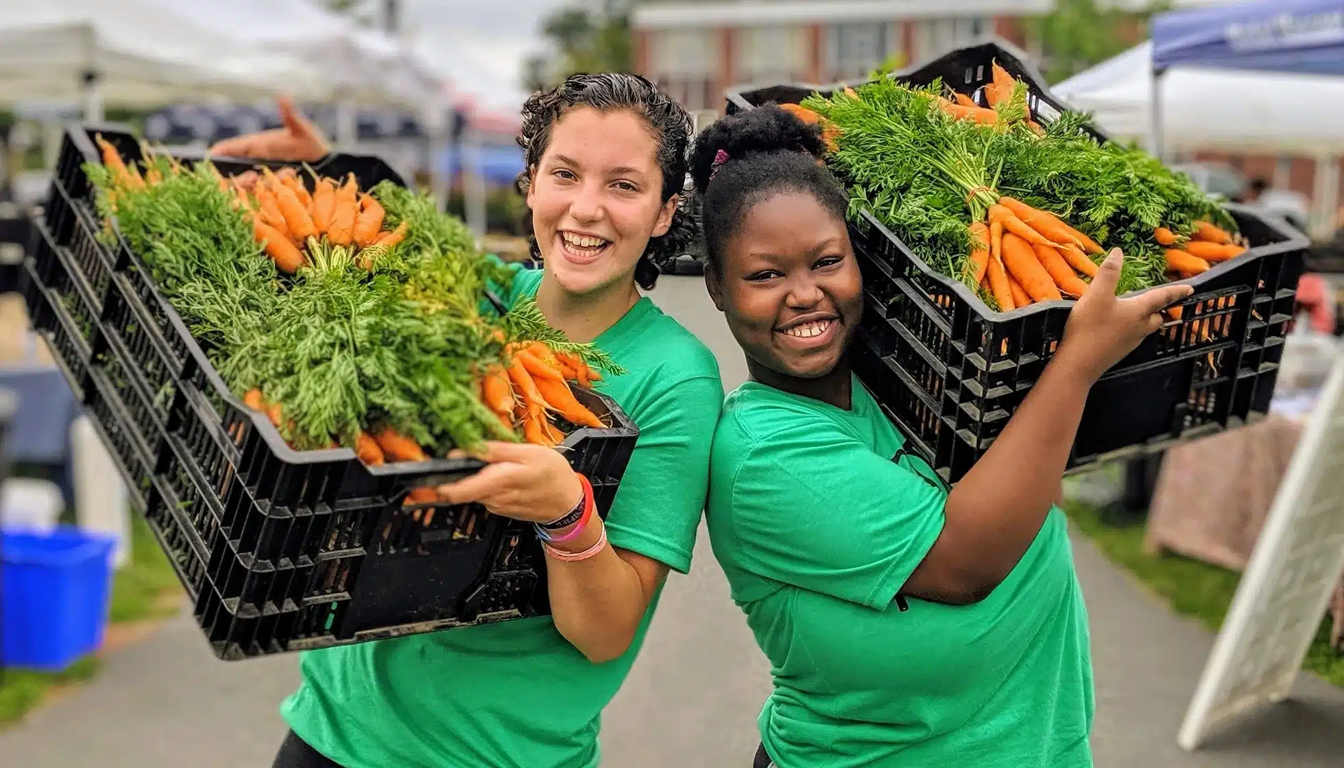 See What’s Growing at Massachusetts Farmers Markets