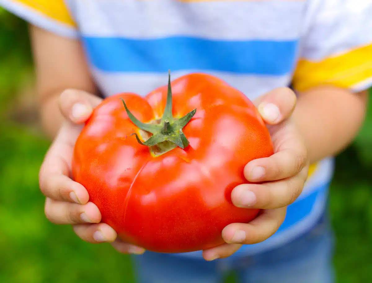 Make a Date with a Massachusetts Farmers Market