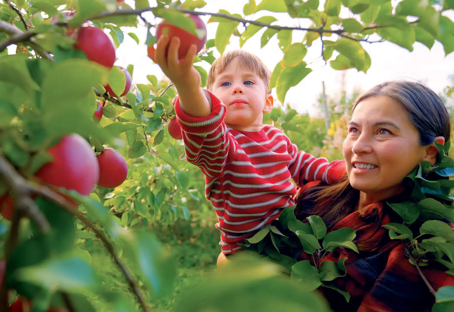 Guide to New Hampshire’s Monadnock Region | Eat, Stay, Play