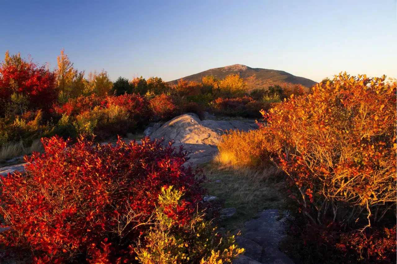 2023 New England Fall Foliage Update | Get Ready for a Long Season of Color!
