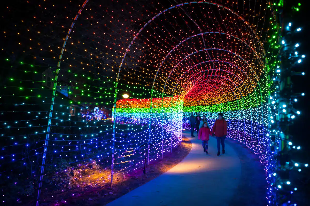 A Toast to Holiday Joys in Massachusetts