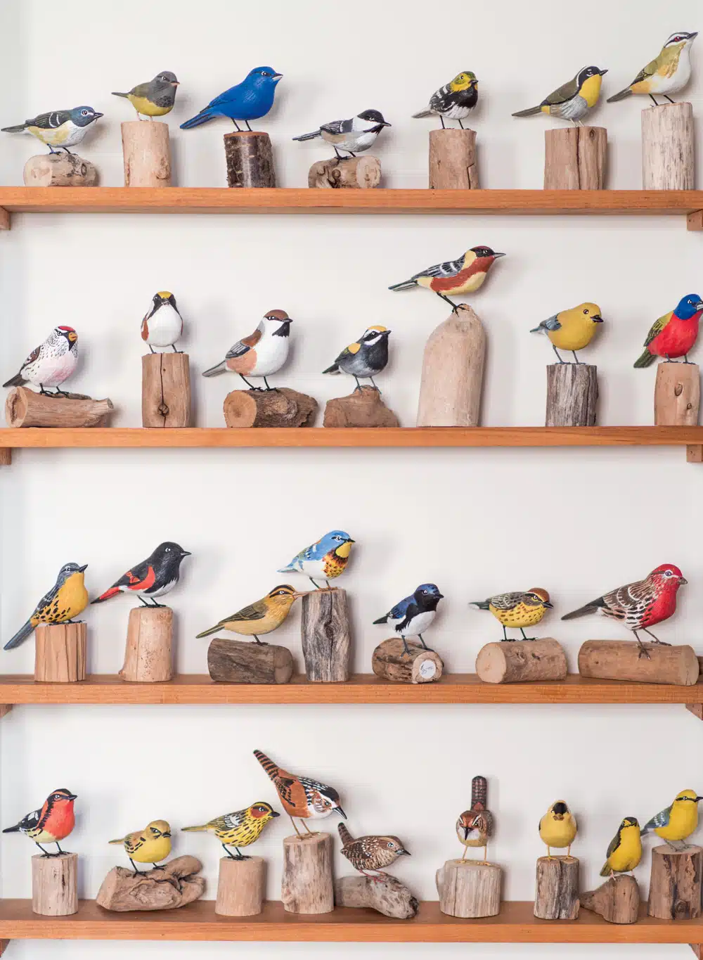 For the Love of Birds | Open Studio