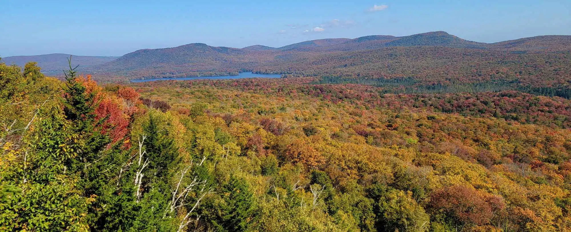 2023 New England Fall Foliage Update | Peak Arrives in the North, Green Holds in the South