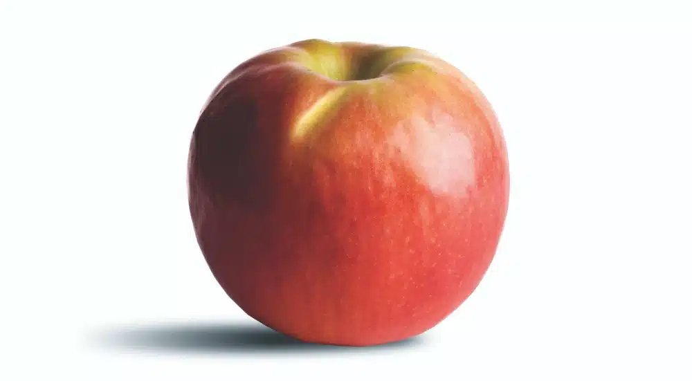 Pink Lady Apple