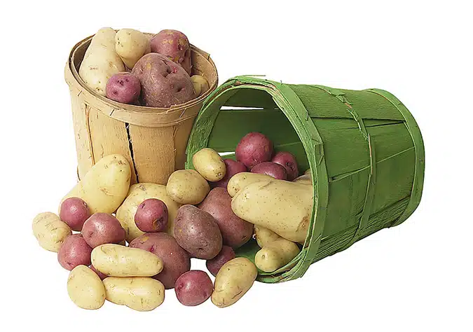 Prevent Potatoes from Sprouting | Yankee Kitchen