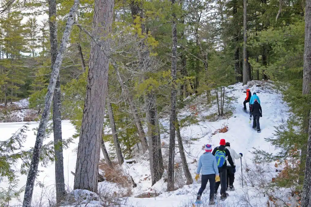 Purity Spring Snowshoe Tour