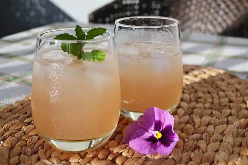 Rhubarb Punch | A Refreshing Summer Sipper