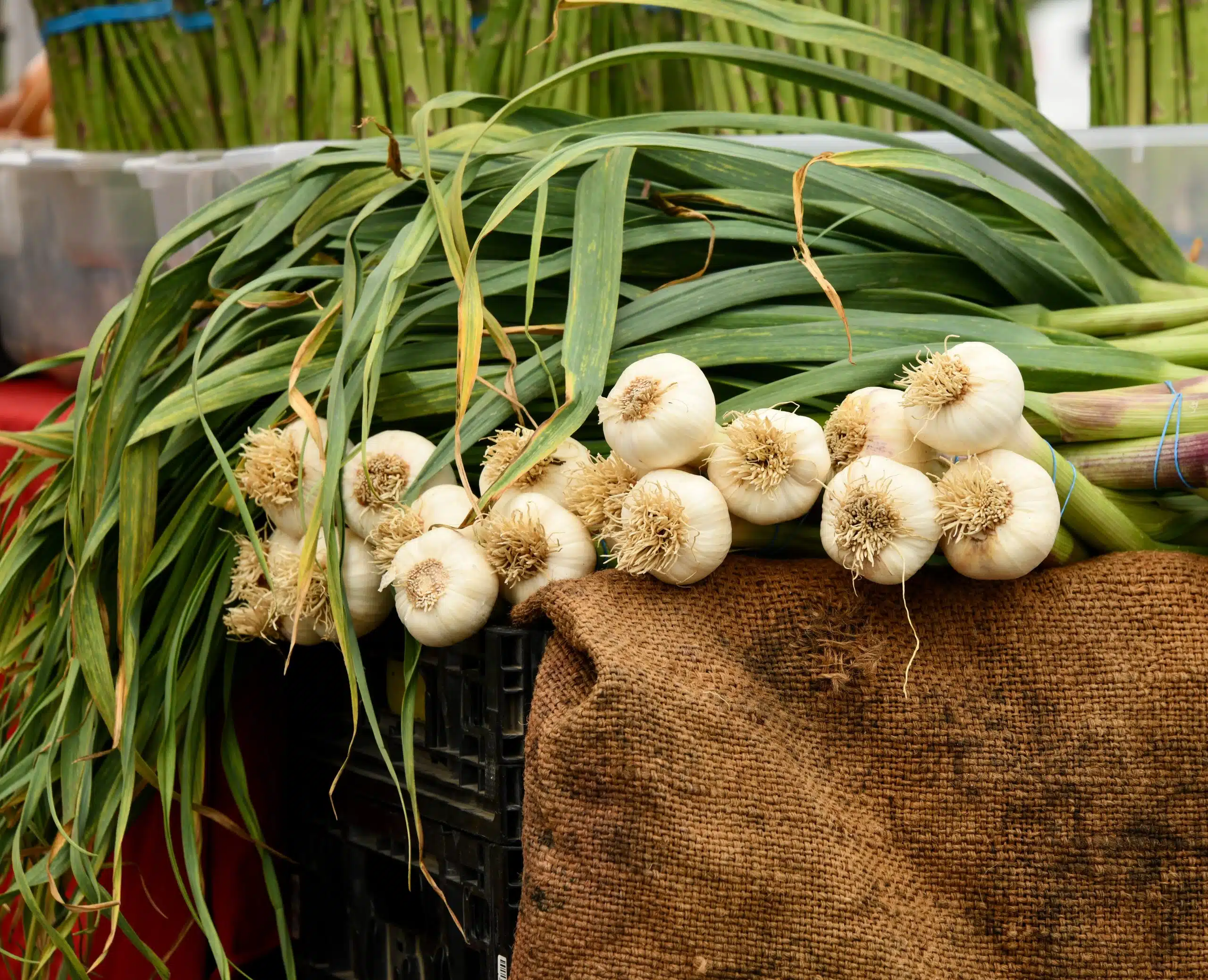 5 Great New England Garlic Festivals To Visit This Fall