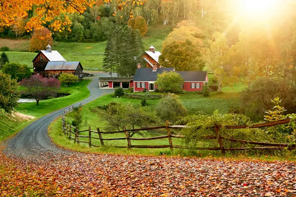 Quiet Time for Vermont’s Sleepy Hollow Farm