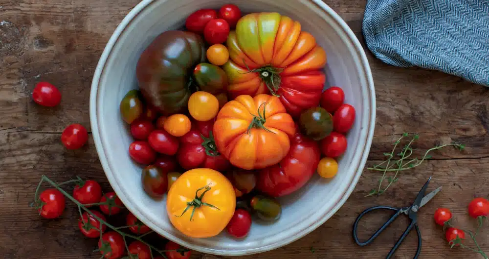 Our Favorite Tomato Recipes