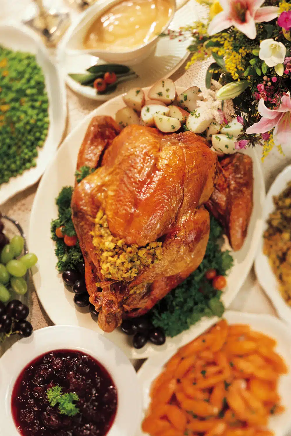 Turkey FAQ | A Thanksgiving Turkey Cheat Sheet