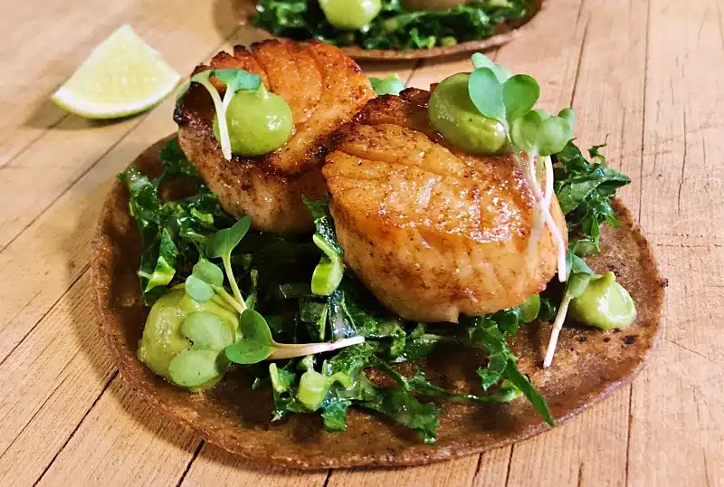 Vida Cantina’s Scallop Tacos with Avocado Salsa